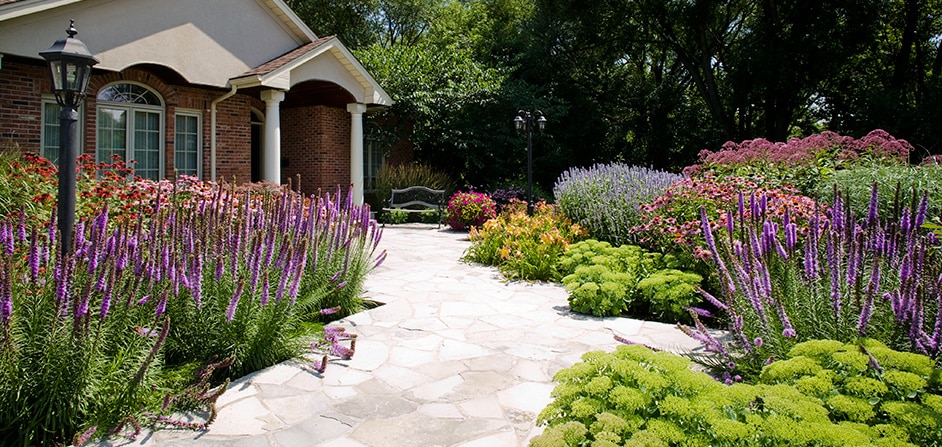 Residential landscape design in Burlington 