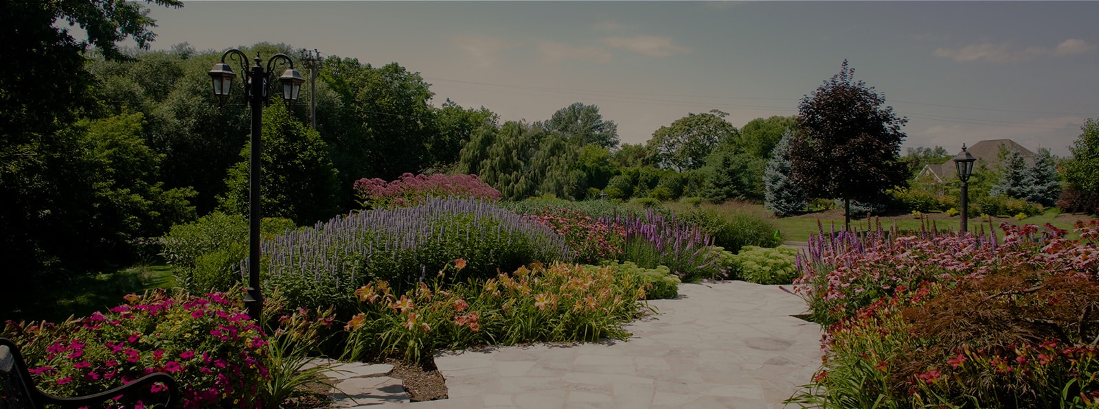 Garden design services in Hamilton