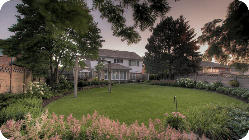 landscape design with Arborist and trees