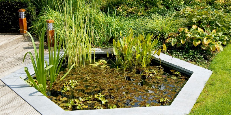 Pond in Yard using sustainable water management best practices